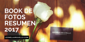book-de-fotos-resumen-2017