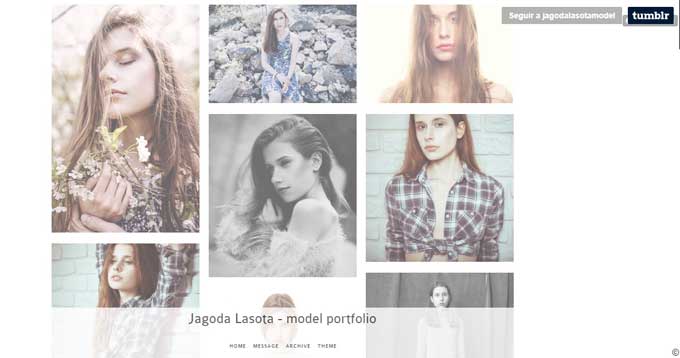 portafolio gratis de modelo