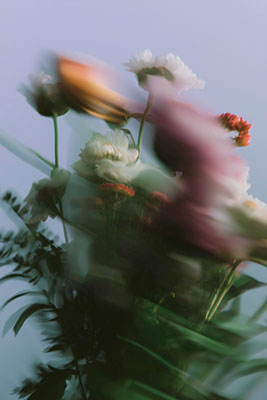 Tendencias de fotografía y contenido visual 2026